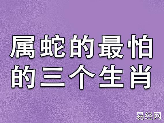 性格有很多相似之处,相处融洽,感情不错和猪相冲的生肖生肖蛇 当属相