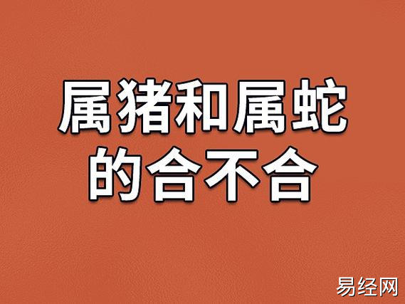 1,属相不合属猪和属蛇的合不合.