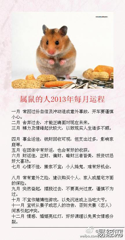 运势运程每月运程_属猪人2023年运势运程每月运程_2023属鼠运势及运程