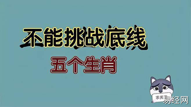 2023年不能惹的五个生肖,记仇报复心强,最好和他们和睦相处