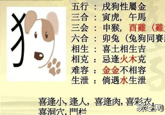 属狗属虎三合生肖,属狗的三合属相是什么生肖