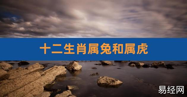 十二生肖属兔和属虎,十二生肖虎和兔合不合