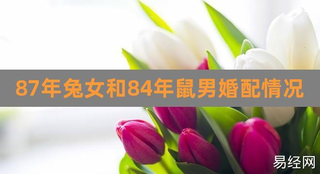 87年兔女和84年鼠男婚配情况(93年属鸡的2023年运势怎么样)