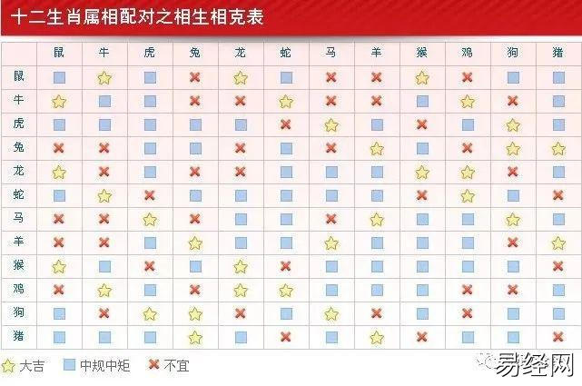 最全最精准的12生肖配对查询