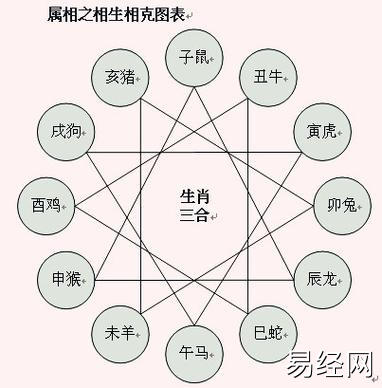 十二生肖相生相冲相克表,属相相冲相克组合一览表 - 十二生肖