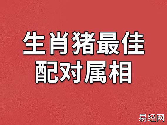 小编在12生肖中整理出来了三个和属猪的人是最佳配对的属相,他们是