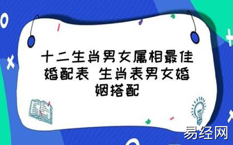 1,属鼠的属相婚配表十二生肖男女属相最佳婚配表 生肖表男女婚姻搭配1