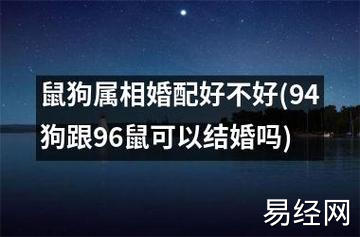 鼠狗作为属相在生肖中比较常见,很多人都会遇上这两个属相.