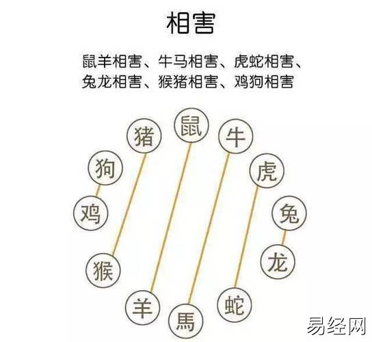 男女婚姻属相配对表婚姻配对12属相婚配表属马男vs属鼠女都是重的人