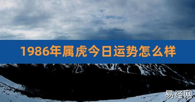 1986年属虎今日运势怎么样,74年属虎人今年运程