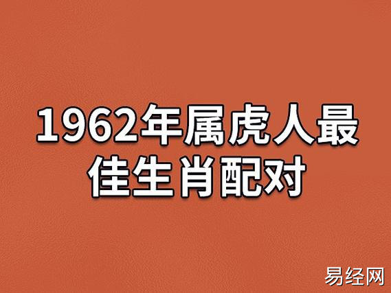 属龙生于1962年的属虎人的最佳生肖配对属相是生肖龙.