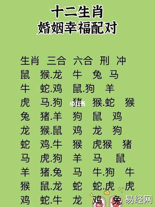 最佳属相配对配偶 生肖猪的最佳配偶属相-第1张-神算子-微浪神算子