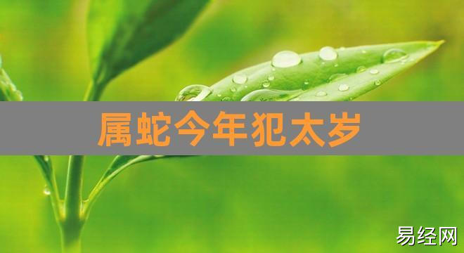 属蛇今年犯太岁(牛年犯太岁的四个属相)