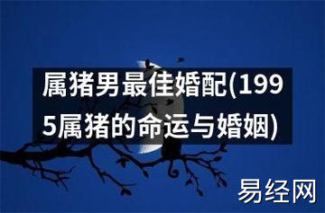 属猪男最佳婚配(1995属猪的命运与婚姻)