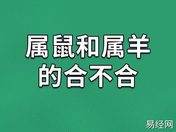 在生肖学中生肖羊和生肖鼠是相克的关系,所以这两个属相是不合的.