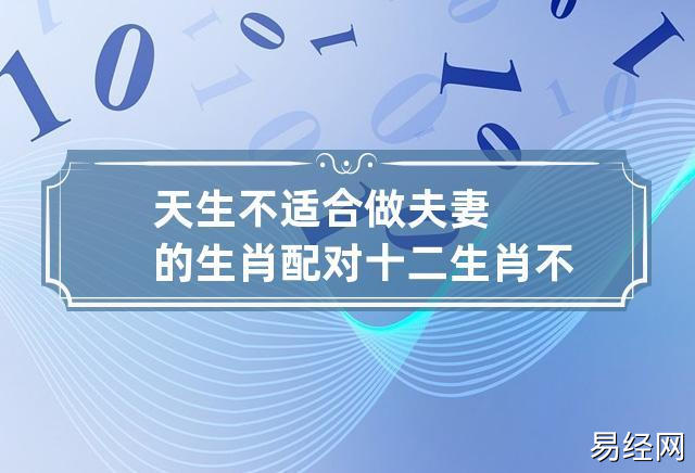 天生不适合做夫妻的生肖配对 十二生肖不合适做夫妻的生肖