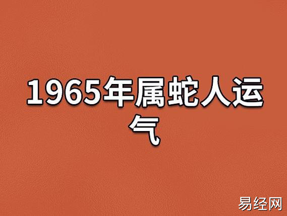 1965年属蛇人运气