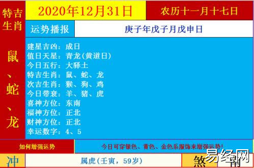 生肖运势12月31日(农历十一月十七日)