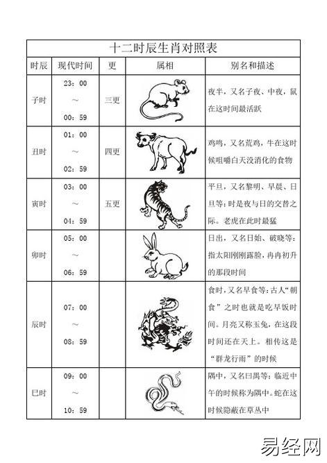 十二时辰生肖对照表 时辰 现代时间 更 属相 别名和描述 子时 23:00