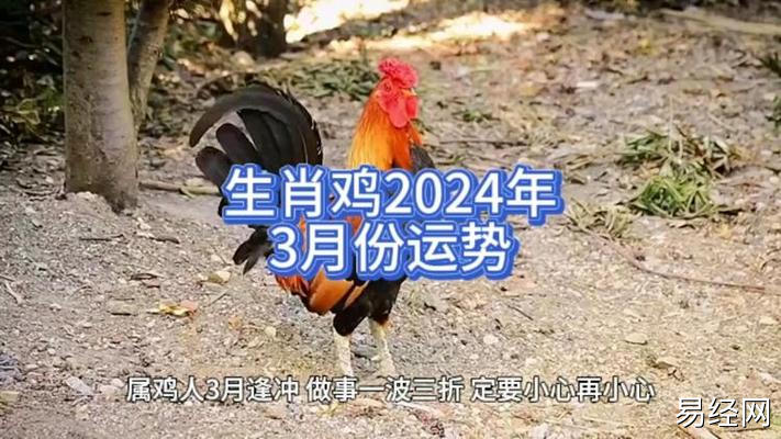 生肖鸡2024年3月份运势