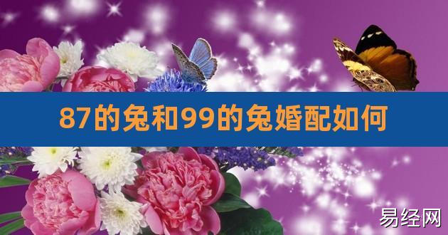 87的兔和99的兔婚配如何,87的兔子和什么属相最配