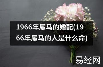 1966年属马的婚配(1966年属马的人是什么命)