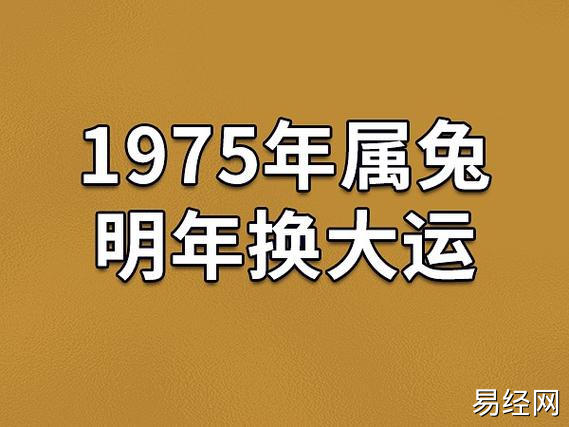 1975年属兔明年换大运:运势上升(财运很好)_吉星堂