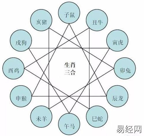 生肖相生相克最全汇总属相间的婚配宜忌一看便知