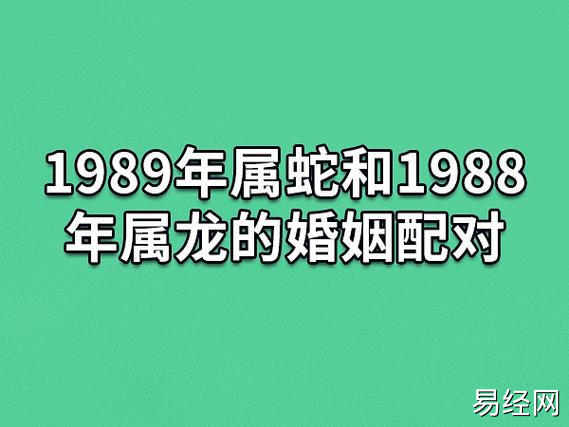 89年属蛇和88年属龙婚配是不错的,这两个属相的人他们有相似的人生