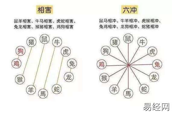 相克表属相婚配1,十二生肖相冲表子 鼠 冲午 马 丑 牛 冲未 羊 寅 虎