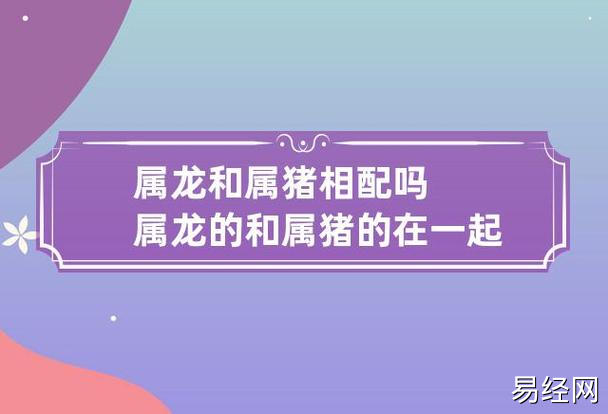 属龙和属猪相配吗 属龙的和属猪的在一起相配吗