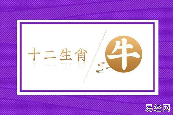 1973年属牛的今年几岁了 50岁的属牛人2023年运势及运程详解