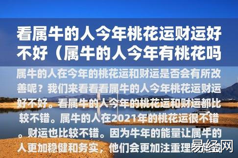 看属牛的人今年桃花运财运好不好(属牛的人今年有桃花吗)