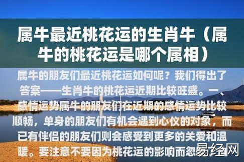 属牛最近桃花运的生肖牛(属牛的桃花运是哪个属相)