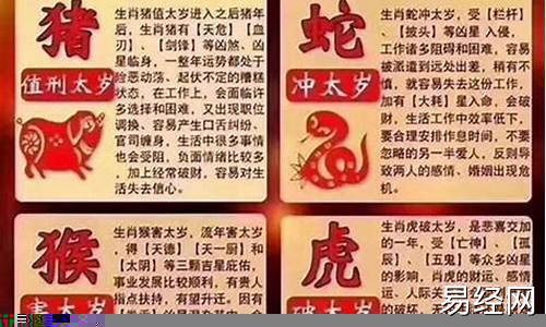 亥猪的一生财运-亥猪2024年的运气如何详解