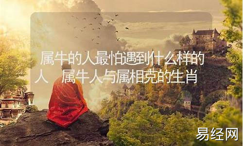 属牛人怕什么生肖-属牛的人最怕什么属相