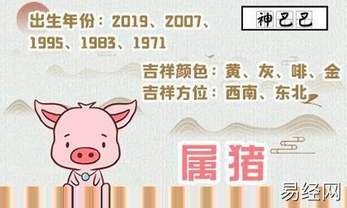 属猪的2024年运势如何-属猪2024年的运势及运程卜易居