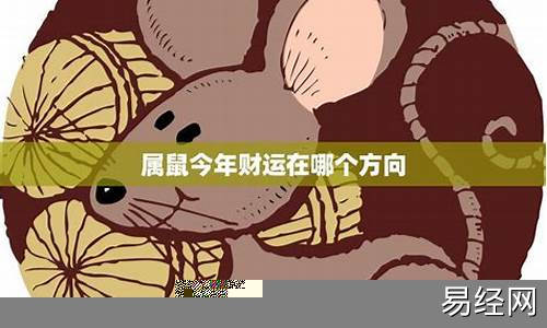 属鼠今年的财运和运势60年后-属鼠今年的财运和运势60年