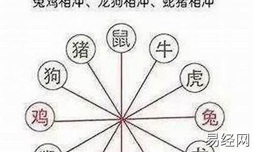 属鼠人三合三不合-属鼠的三合属相和相克表