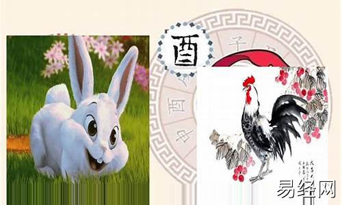 酉鸡今年财运-酉鸡今年运势如何解析