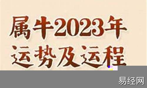 97年属牛今天运势及运程女性-97年属牛今天运势及运程