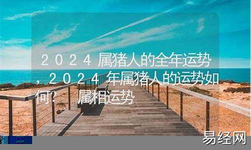 2024年属猪的是什么命-2024年猪属相运势麦玲玲如何详解