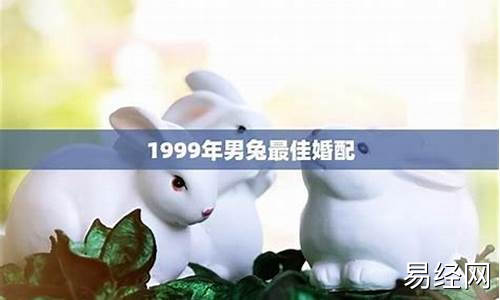 99年9月兔男婚姻属相运势详解-99年9月的兔