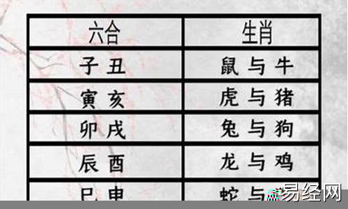 十二生肖属相相生相克相冲表-十二生肖属相生相克