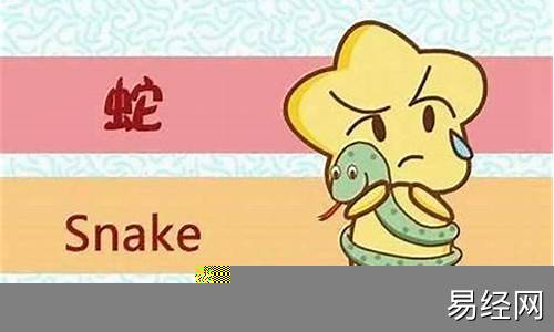 男属虎女属蛇-男属虎女属蛇婚配好吗