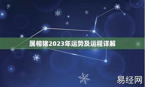 2023年十二属相运势-2023属相运势及运程详解解析大全解析