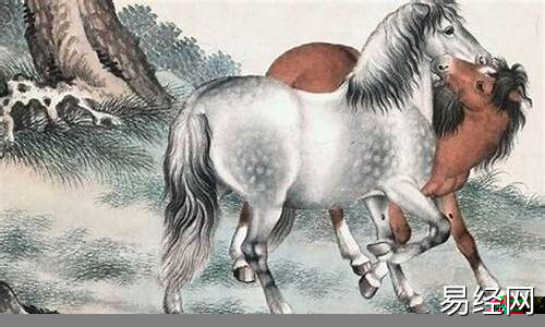 屬馬起名字什么偏旁部首好-屬馬起名