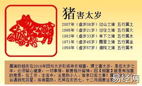 2023年犯太岁的生肖犯太岁化解方法