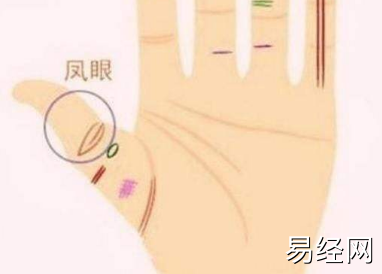 凤眼纹一端未闭合