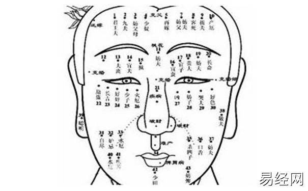 痣相看另一半